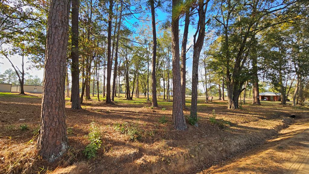 1.4 Acres Old Chipley Rd, Slocomb, Alabama image 17