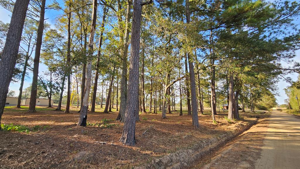 1.4 Acres Old Chipley Rd, Slocomb, Alabama image 31