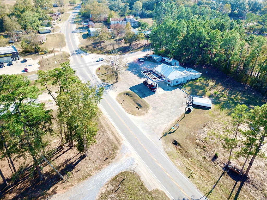 1.4 Acres Old Chipley Rd, Slocomb, Alabama image 50