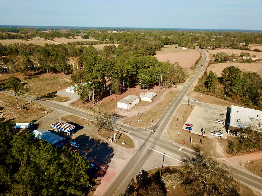 1.4 Acres Old Chipley Rd, Slocomb, Alabama image 41