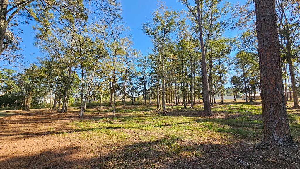 1.4 Acres Old Chipley Rd, Slocomb, Alabama image 30