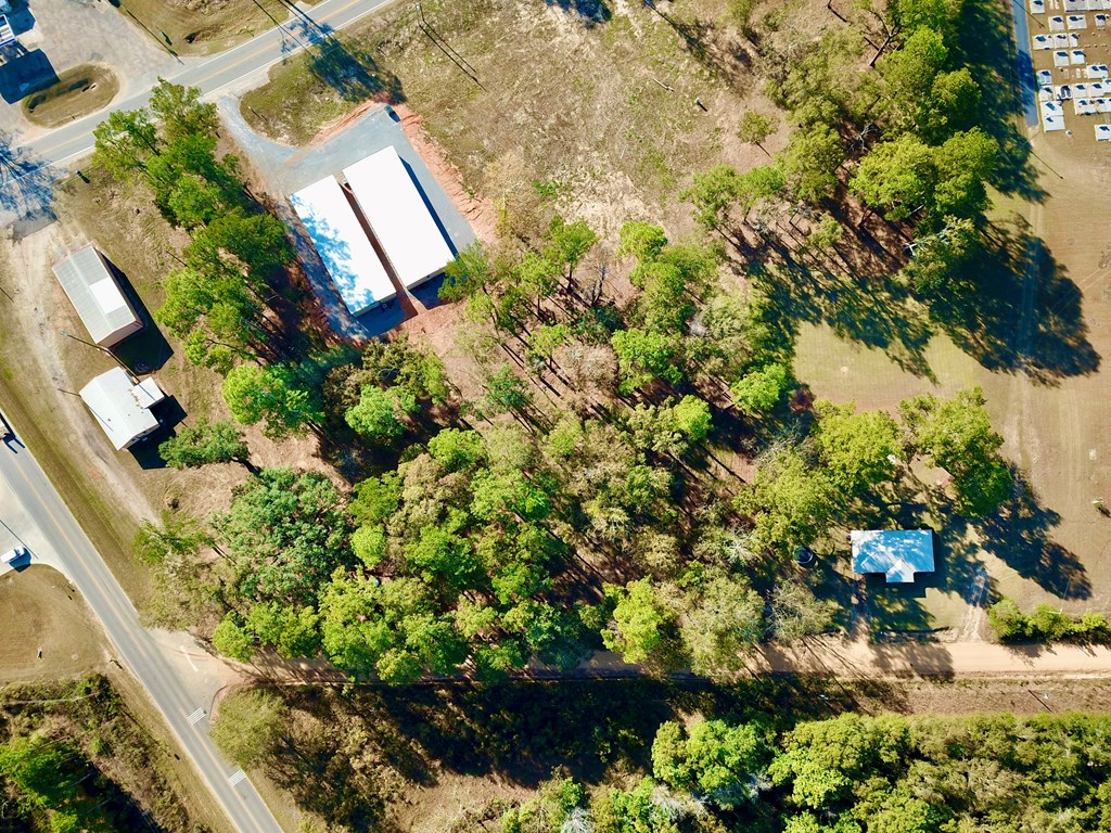 1.4 Acres Old Chipley Rd, Slocomb, Alabama image 36