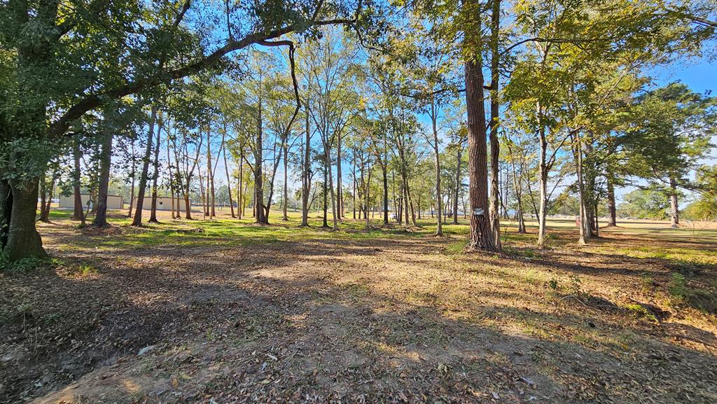 1.4 Acres Old Chipley Rd, Slocomb, Alabama image 26