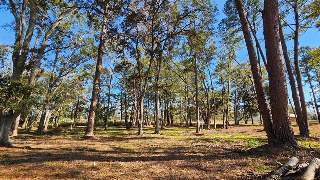 1.4 Acres Old Chipley Rd, Slocomb, Alabama image 20