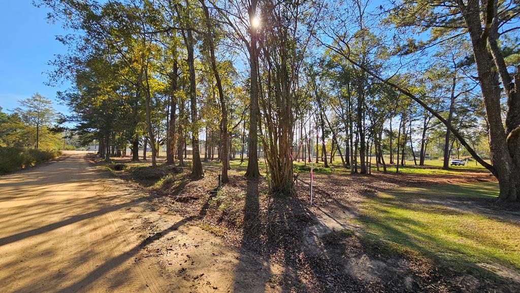 1.4 Acres Old Chipley Rd, Slocomb, Alabama image 32