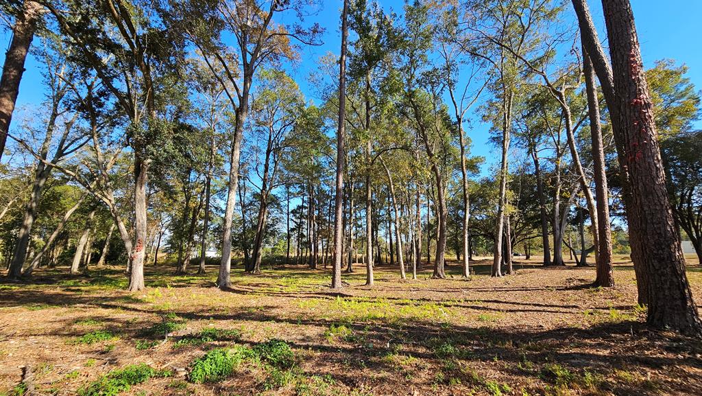 1.4 Acres Old Chipley Rd, Slocomb, Alabama image 18