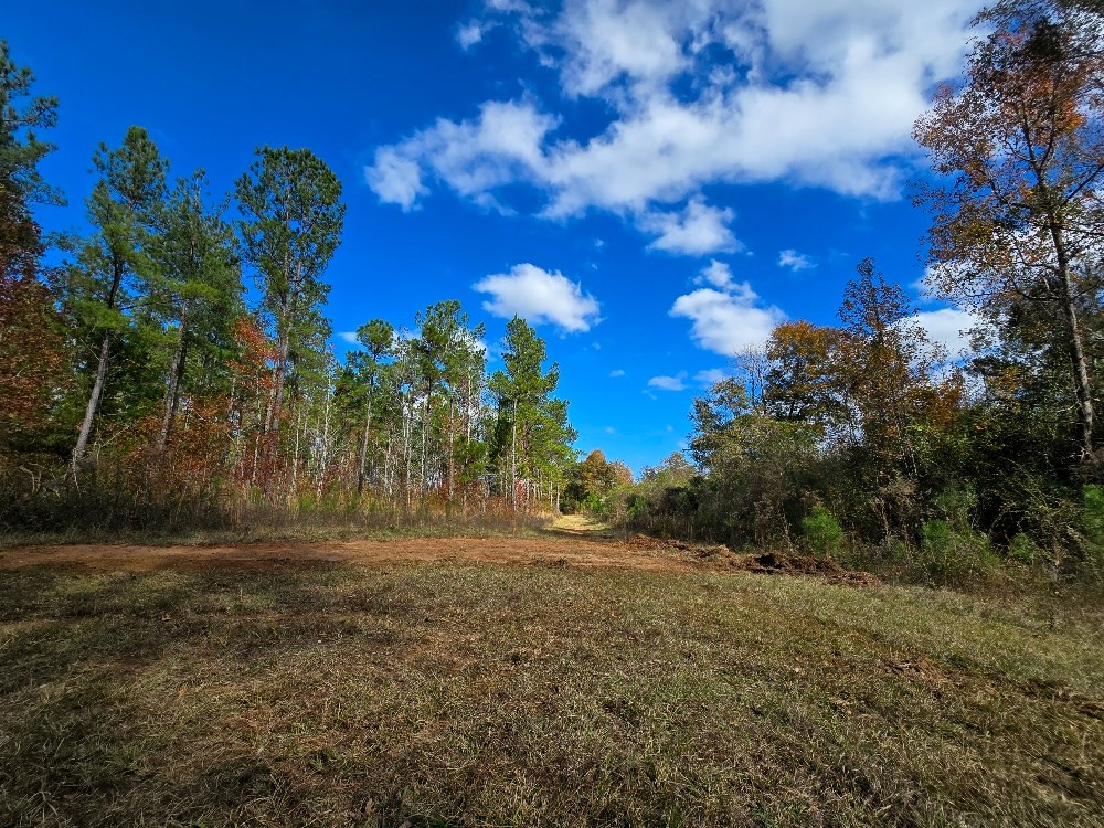 Bruner Pond Rd, Ashford, Alabama image 14