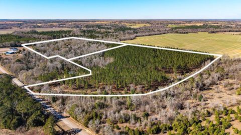 Vacant Land For Sale - Bruner Pond Rd<br/> Ashford, AL 36320