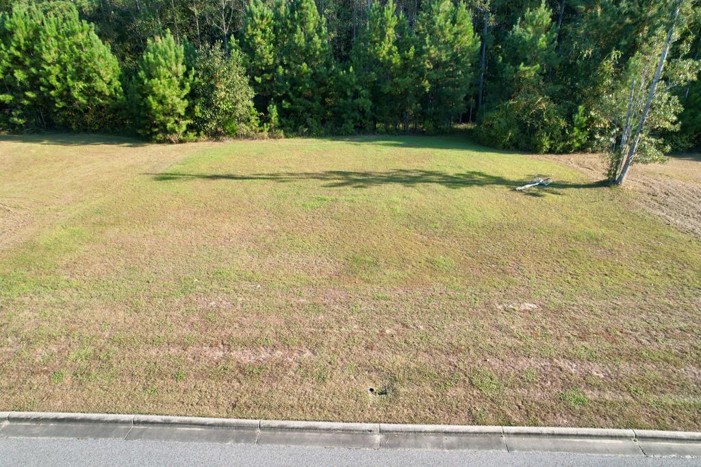 202 Cypressglade Ln, Dothan, Alabama image 6