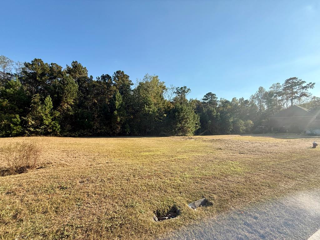 202 Cypressglade Ln, Dothan, Alabama image 5