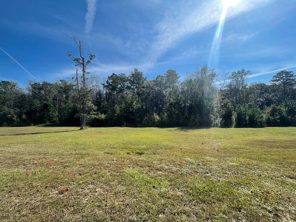 202 Cypressglade Ln, Dothan, Alabama image 4