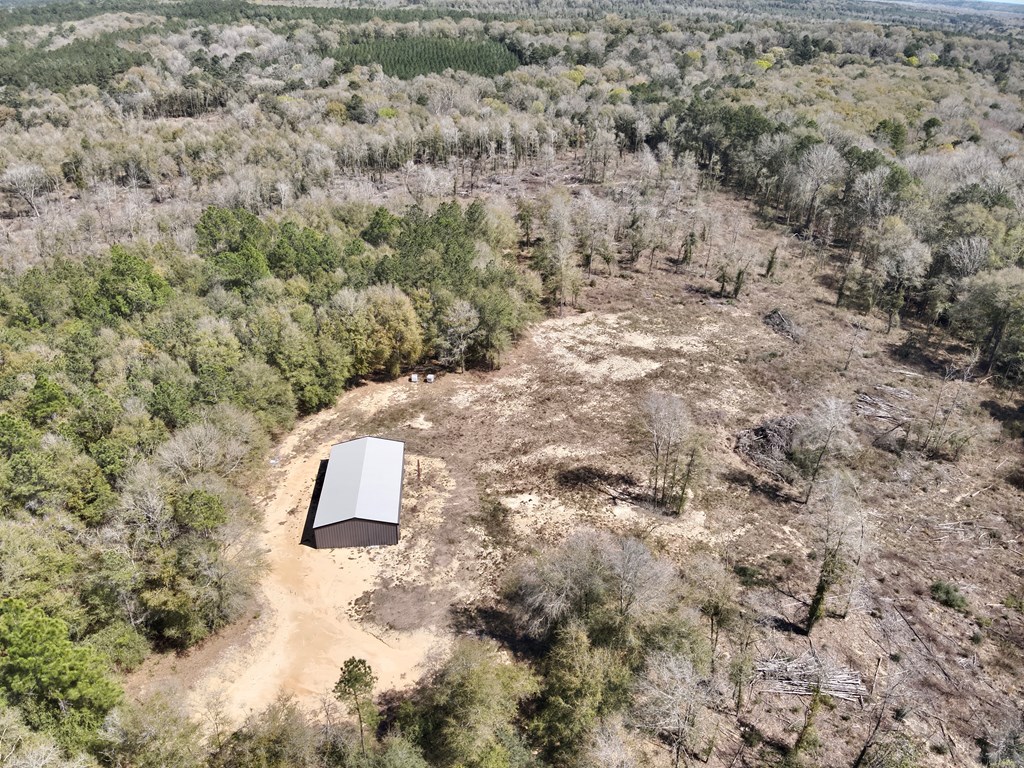 2326 Campbell Hill Road, Chancellor, Alabama image 7