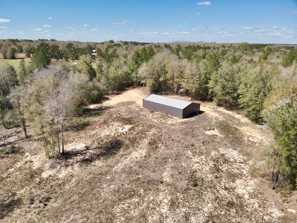 2326 Campbell Hill Road, Chancellor, Alabama image 21