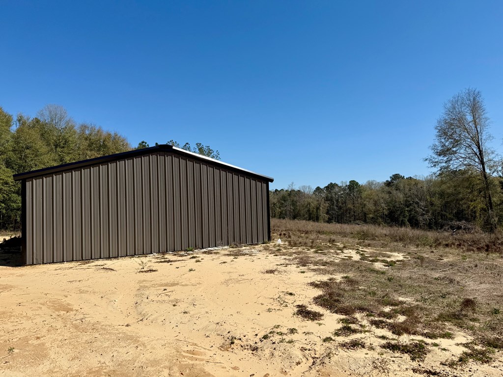2326 Campbell Hill Road, Chancellor, Alabama image 23
