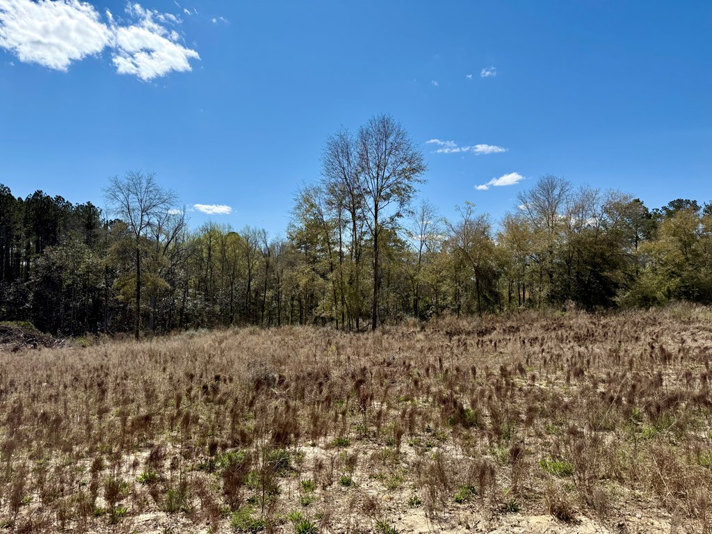 2326 Campbell Hill Road, Chancellor, Alabama image 27