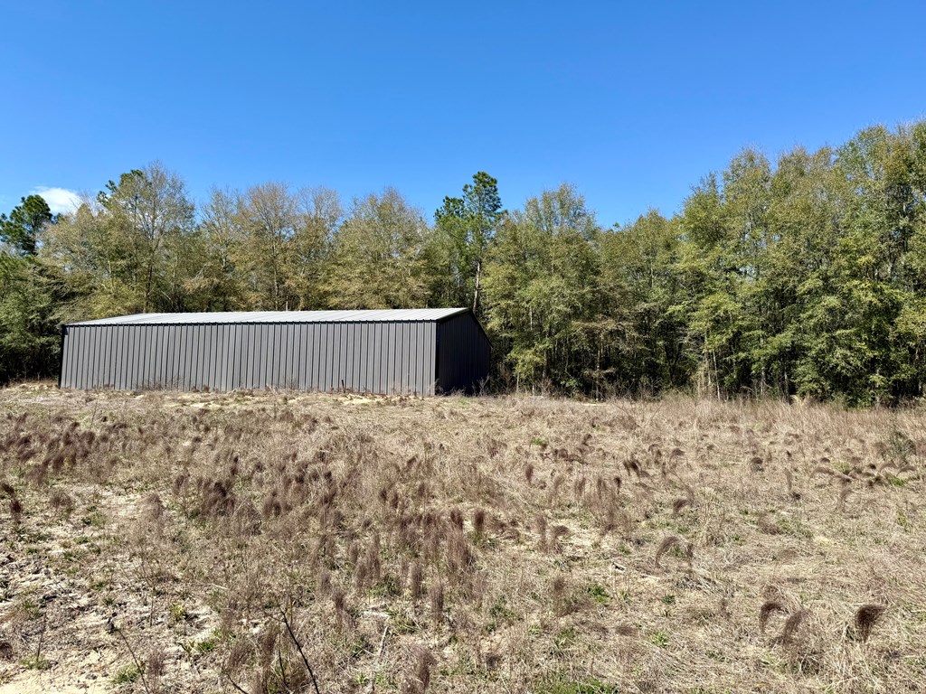 2326 Campbell Hill Road, Chancellor, Alabama image 5