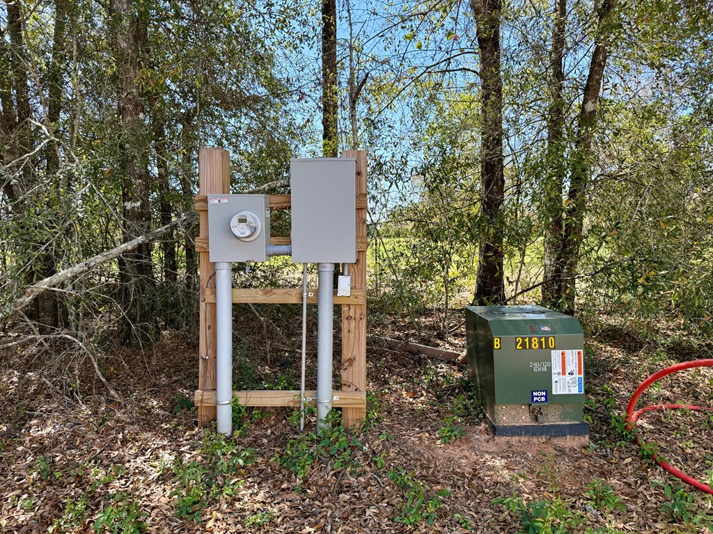 2326 Campbell Hill Road, Chancellor, Alabama image 6