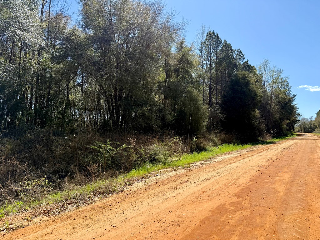 2326 Campbell Hill Road, Chancellor, Alabama image 29
