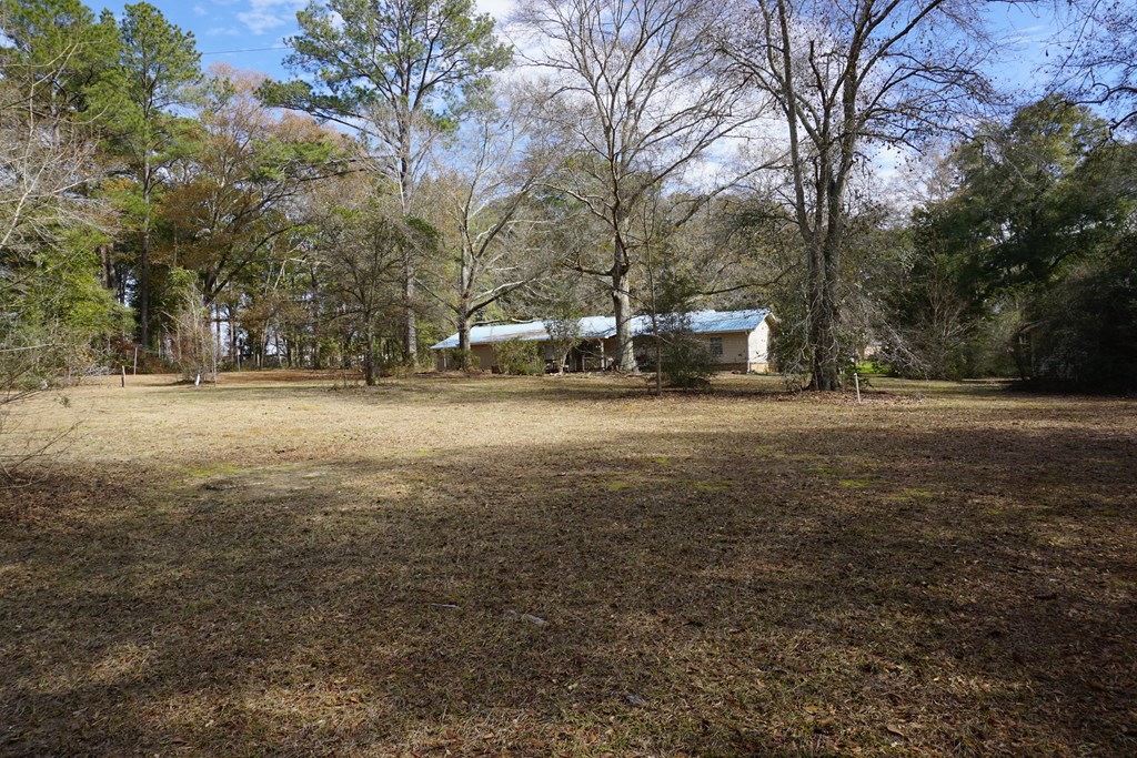 429 N Bob St, Coffee Springs, Alabama image 9