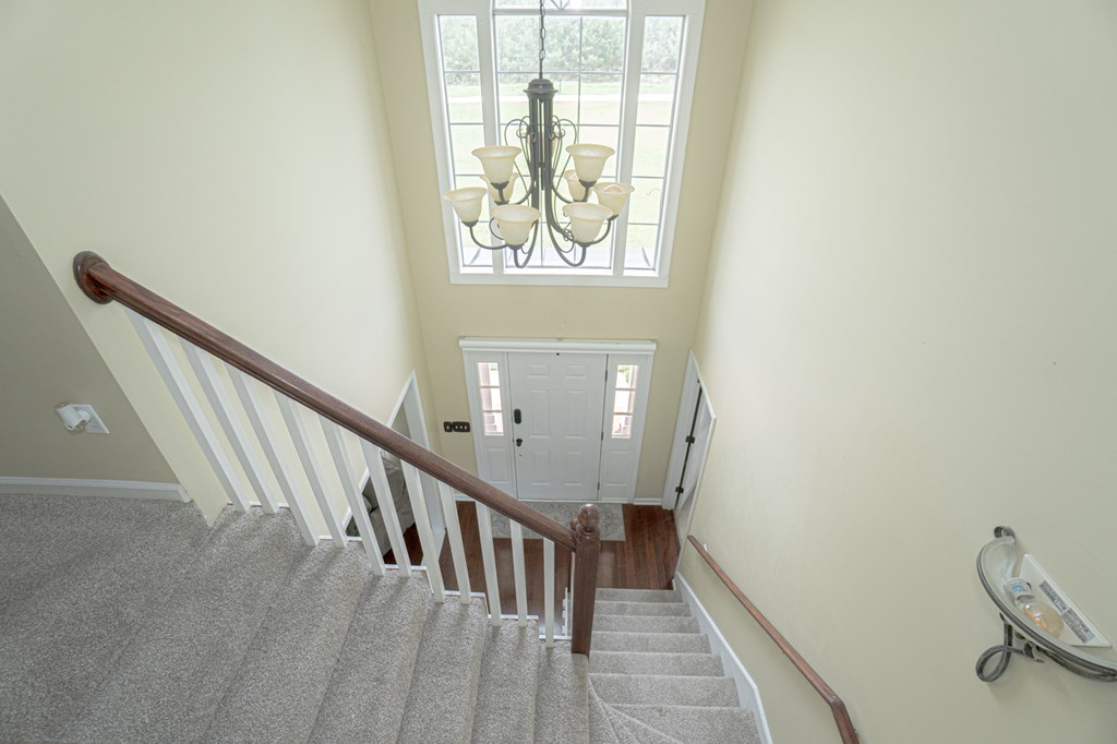 1782 County Road 3, Headland, Alabama image 16