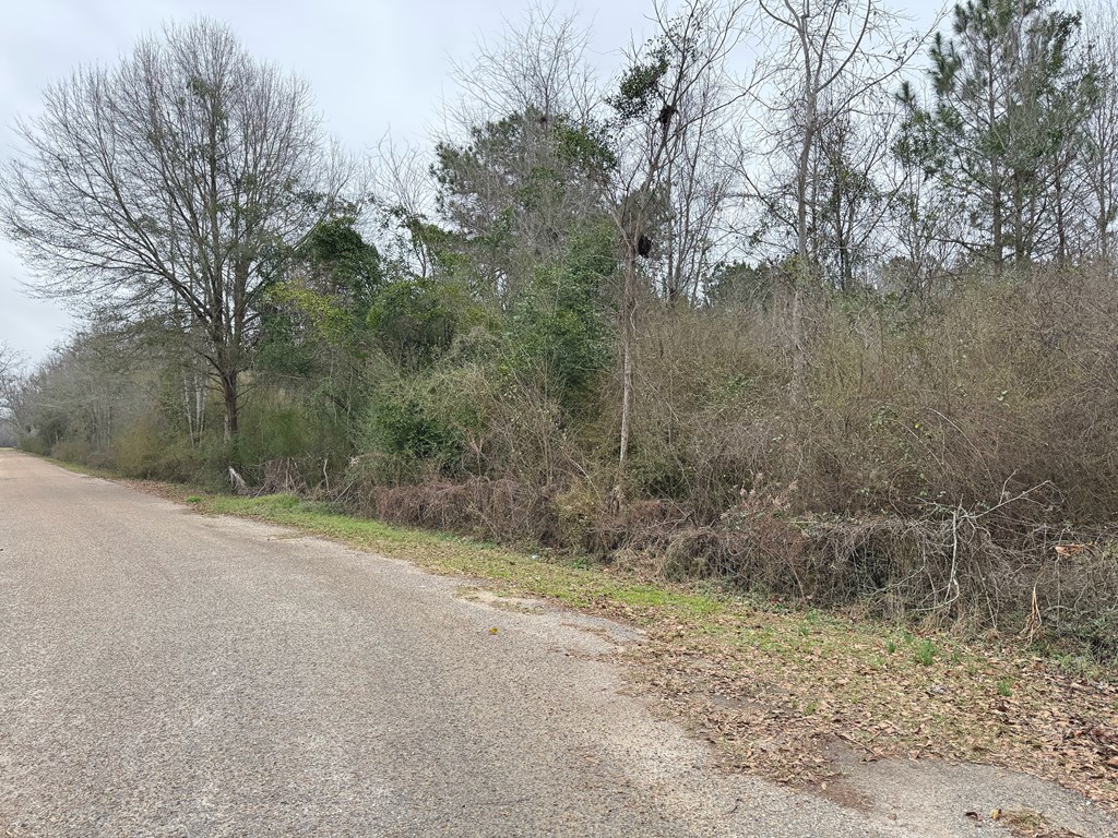 Freddie Whiddon Road, Webb, Alabama image 14
