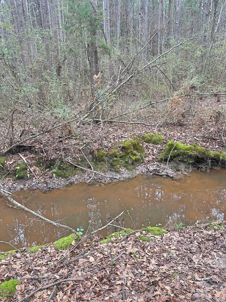 Freddie Whiddon Road, Webb, Alabama image 6