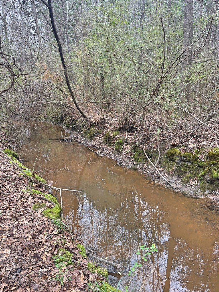 Freddie Whiddon Road, Webb, Alabama image 5