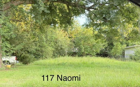 Vacant Land For Sale - 117 Naomi Drive<br/> Houston County, Dothan, AL 36301