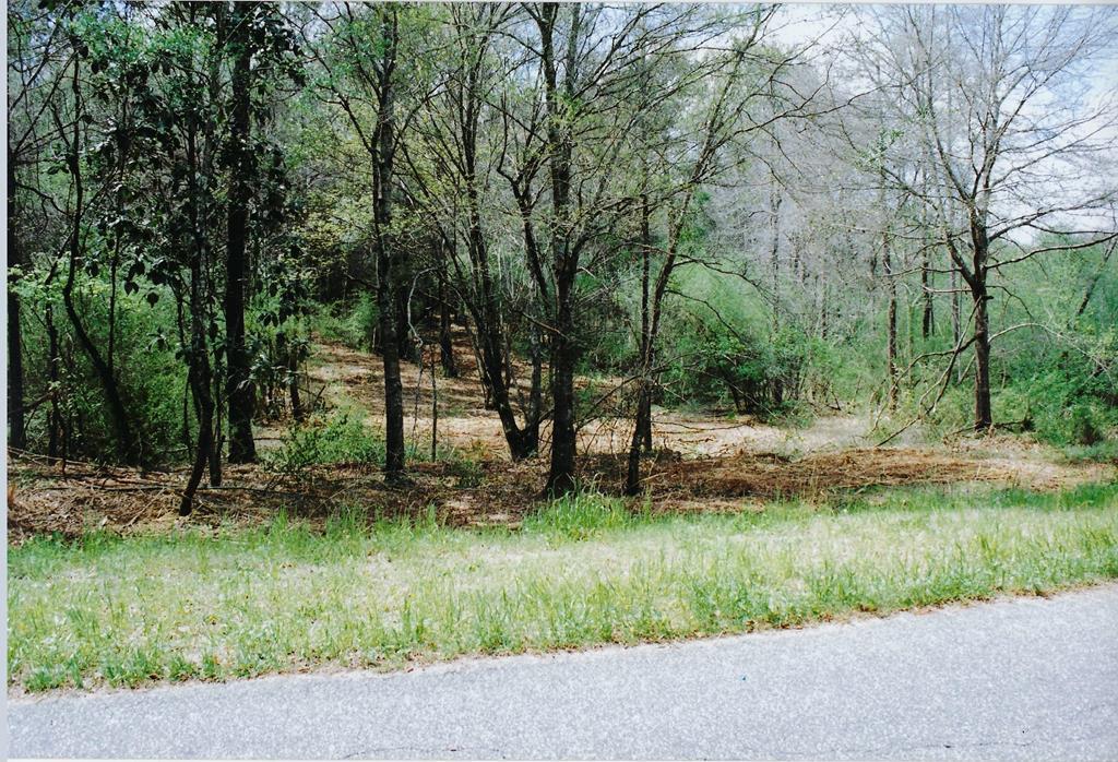 County Road 11 Lot 14, Headland, Alabama image 1