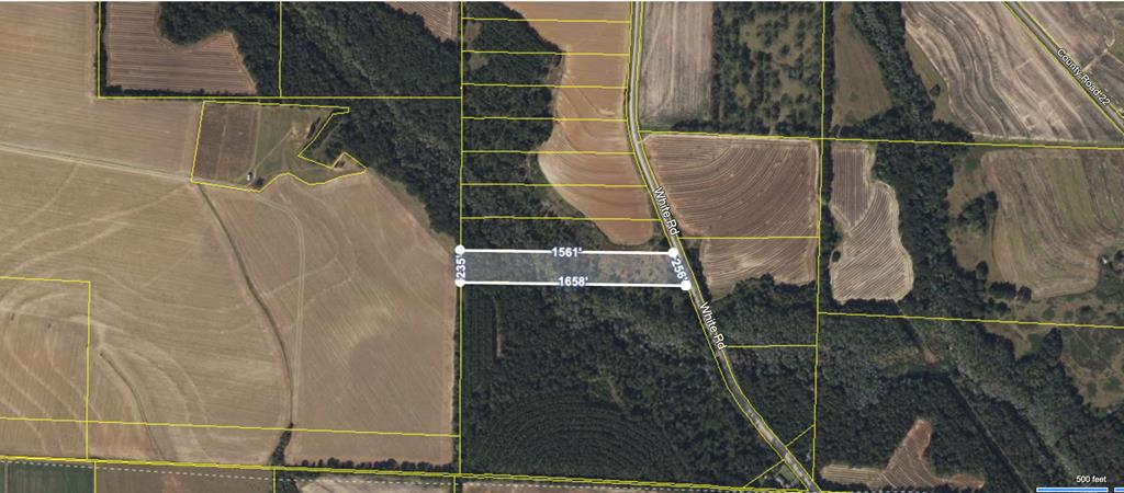 County Road 11 Lot 14, Headland, Alabama image 2