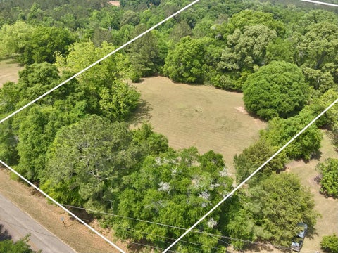 Vacant Land For Sale - 7 +/- ACRES County Road 40<br/> Chancellor, AL 36316