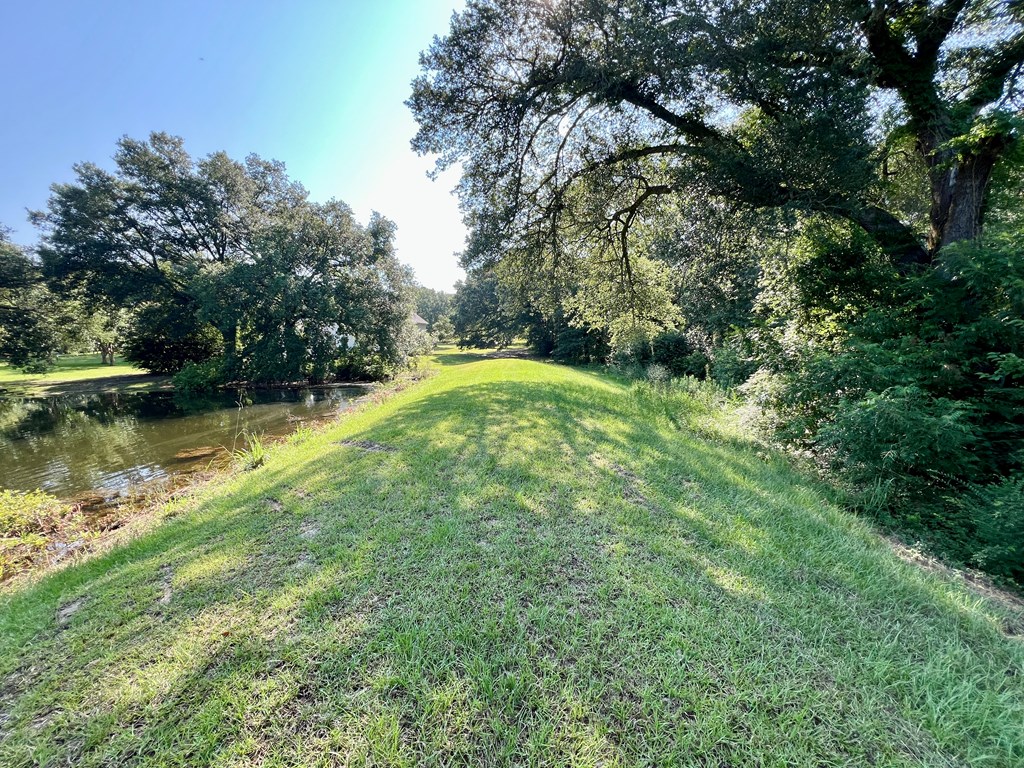 3.4 Acres Thornberry Place, Ashford, Alabama image 7
