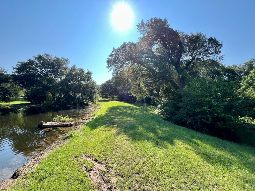 3.4 Acres Thornberry Place, Ashford, Alabama image 6