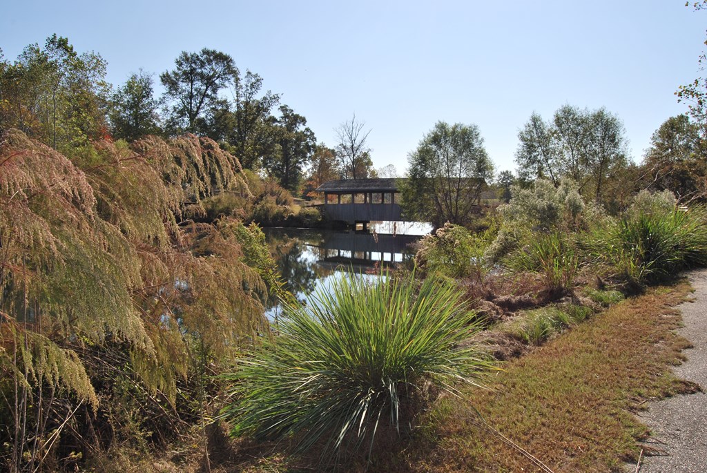 Lot 6 Block D Weeping Willow Trail, Headland, Alabama image 13