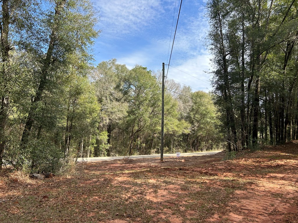 23.79 +-ac Cty Rd 61, Hartford, Alabama image 14