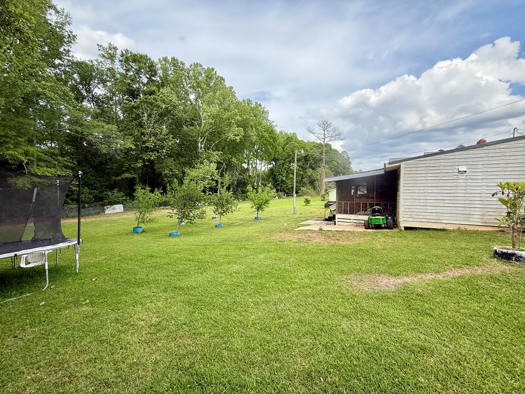 93 Arnall Blvd, Blakely, Georgia image 6