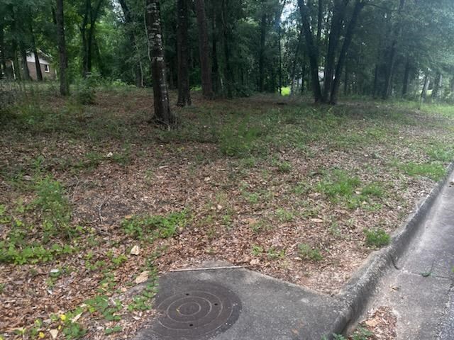 3801 Old Mill Run, Dothan, Alabama image 4