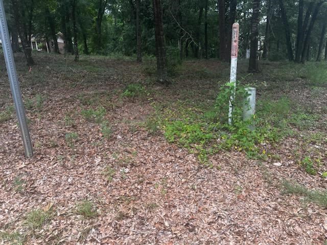 3801 Old Mill Run, Dothan, Alabama image 3