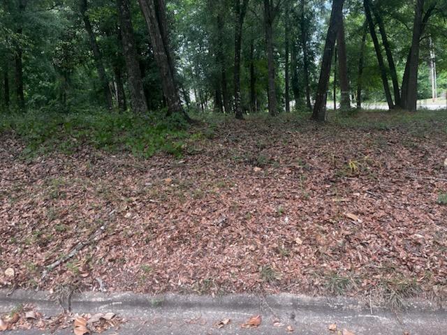 3801 Old Mill Run, Dothan, Alabama image 1