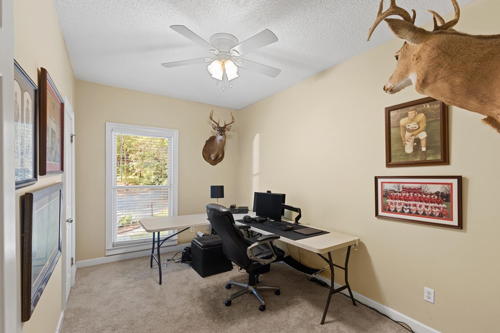 407 Shakespeare Dr, Dothan, Alabama image 39