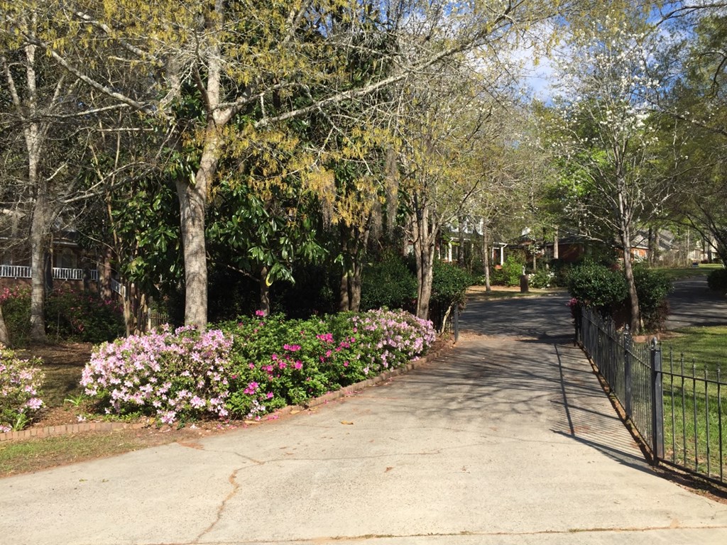 407 Shakespeare Dr, Dothan, Alabama image 5