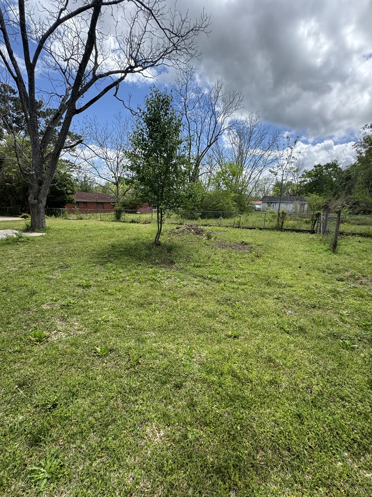 144 Forrest Avenue, Slocomb, Alabama image 28