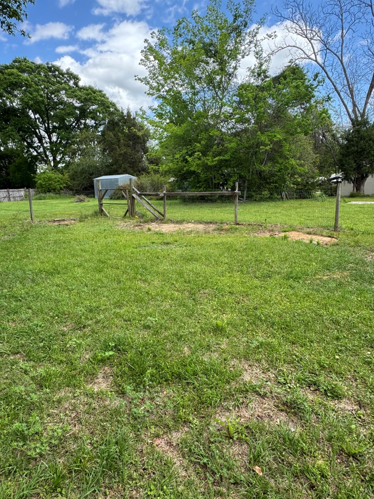 144 Forrest Avenue, Slocomb, Alabama image 31