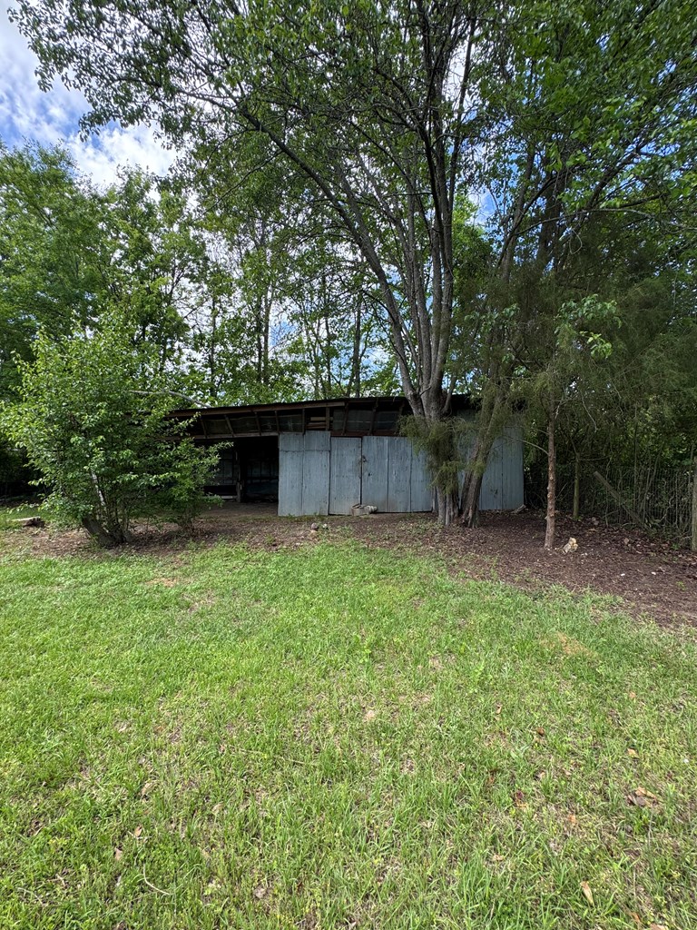 144 Forrest Avenue, Slocomb, Alabama image 34