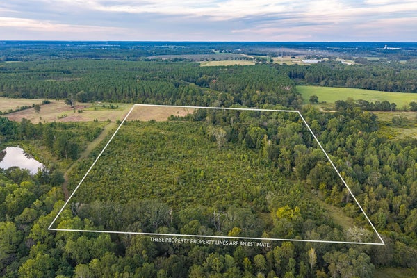 21.31+/- COUNTY ROAD 663, COFFEE SPRINGS, AL 36318 - Image 2bc8434fff5b9d8090d268600ffb40a0/493290000