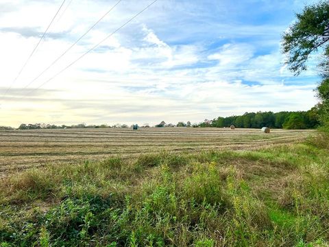 Vacant Land For Sale - County Road 13<br/> Headland, AL 36345