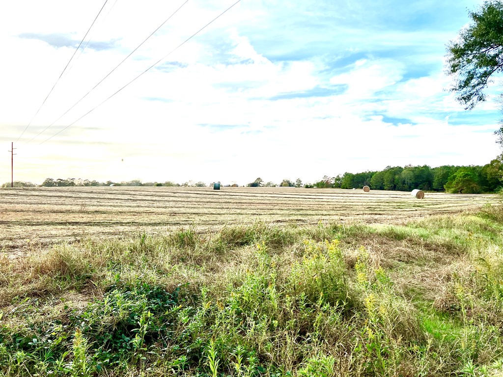 County Road 13, Headland, Alabama image 5