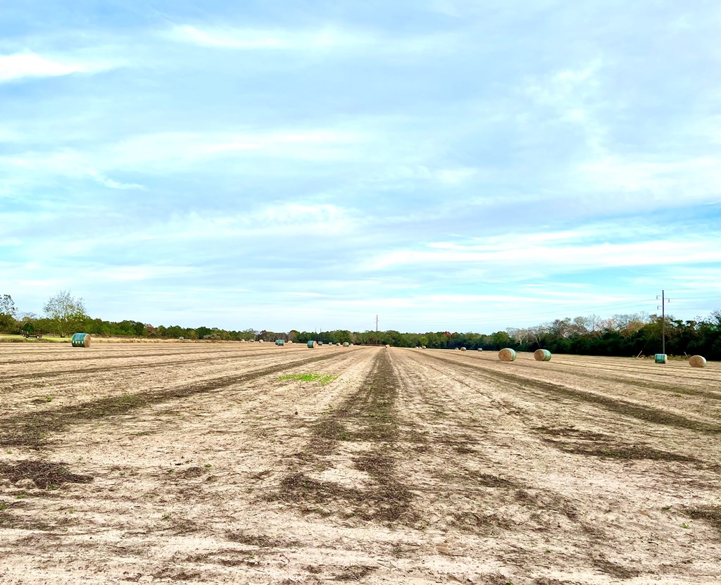 County Road 13, Headland, Alabama image 3