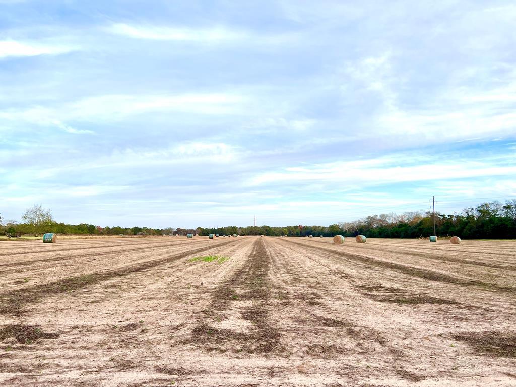 County Road 13, Headland, Alabama image 2