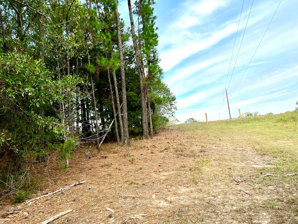 County Road 13, Headland, Alabama image 7